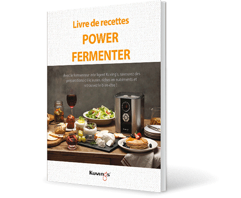 yaourtiere fromagere livre recettes